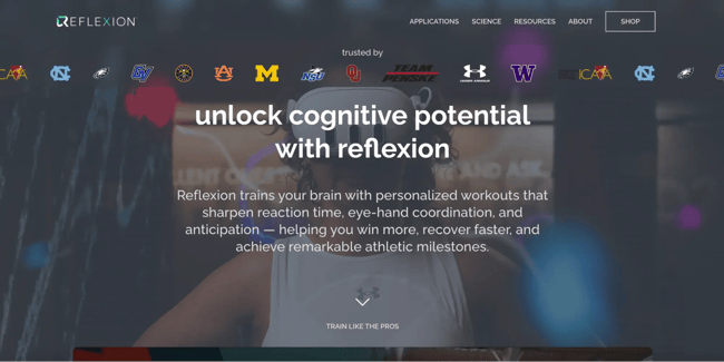 dynamic website example, reflexion